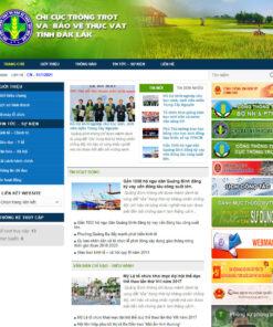 Mẫu website nhà nước 03